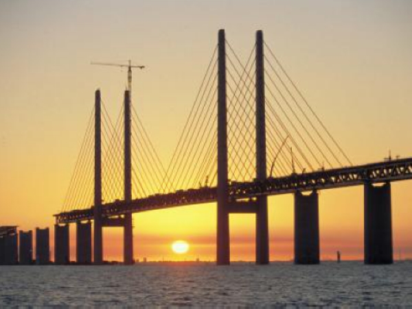 1561132827439074340.jpg 图片8.jpg